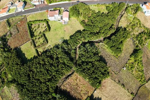 Terra a Sao Mateus, Graciosa, Sao Mateus - € 107.500 | Ref: AZ98381MK - foto 5