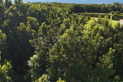 Terra a Sao Mateus, Graciosa, Sao Mateus - € 107.500 | Ref: AZ98381MK - foto 6