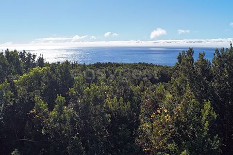 Terra a Sao Mateus, Graciosa, Sao Mateus - € 107.500 | Ref: AZ98381MK - foto 9
