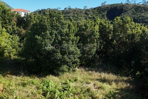 Terra a Sao Mateus, Graciosa, Sao Mateus - € 107.500 | Ref: AZ98381MK - foto 10