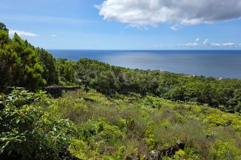 Helårsgrund i Sao Mateus, Graciosa, Sao Mateus - € 90.000 | Ref: AZ97665MK - foto 1