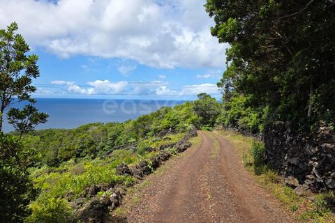Helårsgrund i Sao Mateus, Graciosa, Sao Mateus - € 90.000 | Ref: AZ97665MK - foto 4