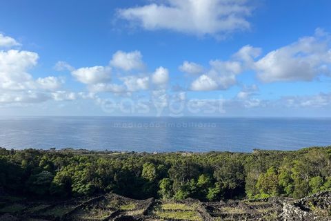 Helårsgrund i Sao Mateus, Graciosa, Sao Mateus - € 90.000 | Ref: AZ97665MK - foto 6