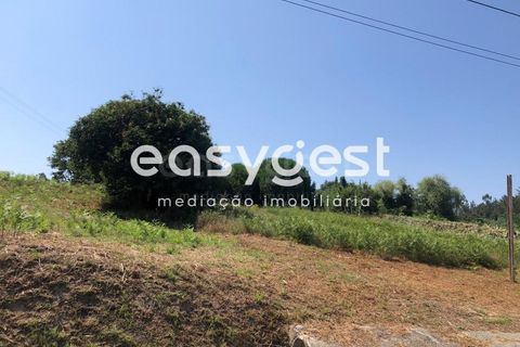 Grond in Batalha, Leiria, Batalha - € 160.000 | Ref: OR93231EW - foto 2