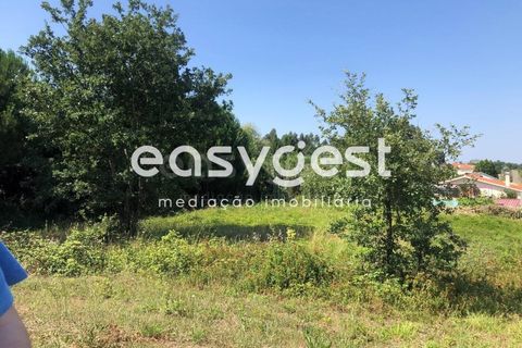 Grond in Batalha, Leiria, Batalha - € 160.000 | Ref: OR93231EW - foto 3
