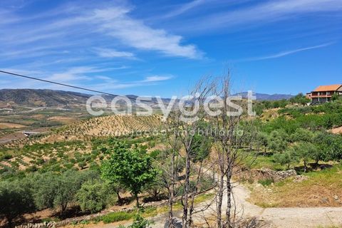 Villa i Adeganha e Cardanha, Braganca, Adeganha e Cardanha - € 30.000 | Ref: BG92275MG - foto 7