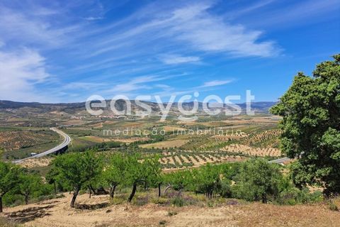 Villa i Adeganha e Cardanha, Braganca, Adeganha e Cardanha - € 30.000 | Ref: BG92275MG - foto 13