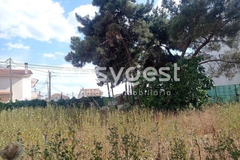 Helårsgrund i Quinta do Conde, Setubal, Quinta do Conde - € 138.000 | Ref: ST92550AC - foto 1
