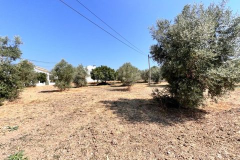 Helårsgrund i Olaia e Paco, Santarem, Olaia e Paco - € 120.000 | Ref: TM93445 - foto 1