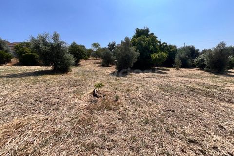 Helårsgrund i Olaia e Paco, Santarem, Olaia e Paco - € 120.000 | Ref: TM93453 - foto 1