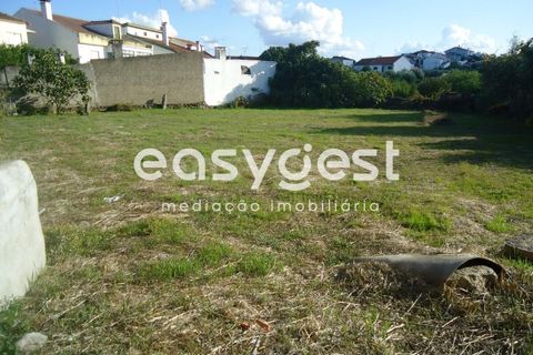 Gård i Alcains, Castelo Branco, Alcains - € 75 000 | Ref: CB72044MA - foto 7