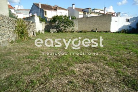 Gård i Alcains, Castelo Branco, Alcains - € 75 000 | Ref: CB72044MA - foto 8