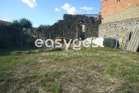 Gård i Alcains, Castelo Branco, Alcains - € 75 000 | Ref: CB72044MA - foto 43
