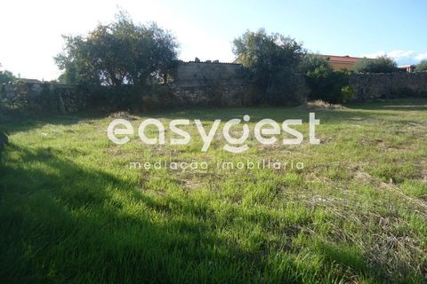 Gård i Alcains, Castelo Branco, Alcains - € 75 000 | Ref: CB72044MA - foto 44