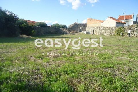 Gård i Alcains, Castelo Branco, Alcains - € 75 000 | Ref: CB72044MA - foto 45