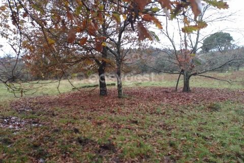 Helårsgrund i Tondela, Viseu, Tondela - € 70.000 | Ref: VS94483 - foto 2