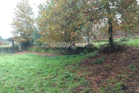 Helårsgrund i Tondela, Viseu, Tondela - € 70.000 | Ref: VS94483 - foto 3