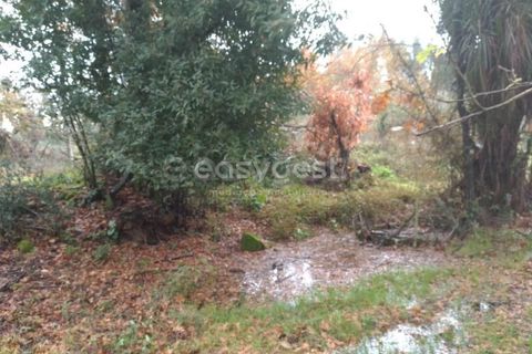 Helårsgrund i Tondela, Viseu, Tondela - € 70.000 | Ref: VS94483 - foto 5