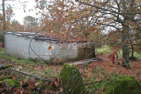 Helårsgrund i Tondela, Viseu, Tondela - € 70.000 | Ref: VS94483 - foto 6