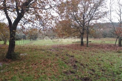 Helårsgrund i Tondela, Viseu, Tondela - € 70.000 | Ref: VS94483 - foto 8