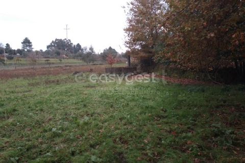 Helårsgrund i Tondela, Viseu, Tondela - € 70.000 | Ref: VS94483 - foto 9