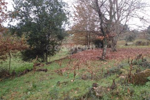 Helårsgrund i Tondela, Viseu, Tondela - € 70.000 | Ref: VS94483 - foto 10