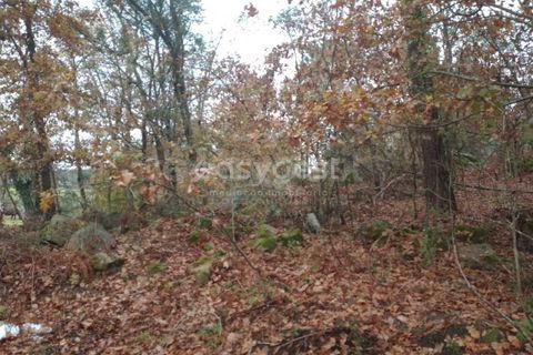 Helårsgrund i Tondela, Viseu, Tondela - € 70.000 | Ref: VS94483 - foto 11