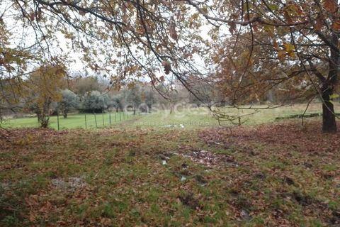 Helårsgrund i Tondela, Viseu, Tondela - € 70.000 | Ref: VS94483 - foto 12
