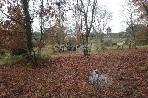 Helårsgrund i Tondela, Viseu, Tondela - € 70.000 | Ref: VS94483 - foto 13