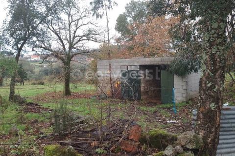 Helårsgrund i Tondela, Viseu, Tondela - € 70.000 | Ref: VS94483 - foto 14