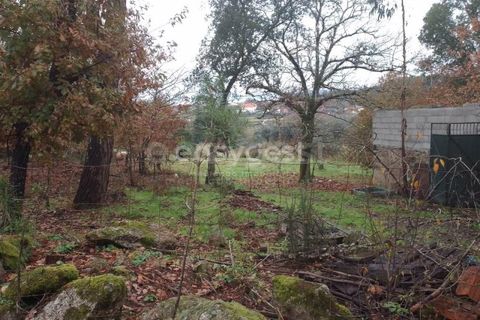 Helårsgrund i Tondela, Viseu, Tondela - € 70.000 | Ref: VS94483 - foto 15
