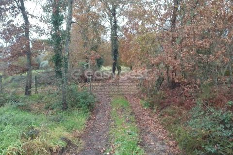 Helårsgrund i Tondela, Viseu, Tondela - € 70.000 | Ref: VS94483 - foto 16
