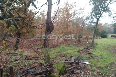Helårsgrund i Tondela, Viseu, Tondela - € 70.000 | Ref: VS94483 - foto 17