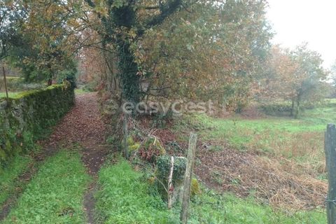 Helårsgrund i Tondela, Viseu, Tondela - € 70.000 | Ref: VS94483 - foto 18