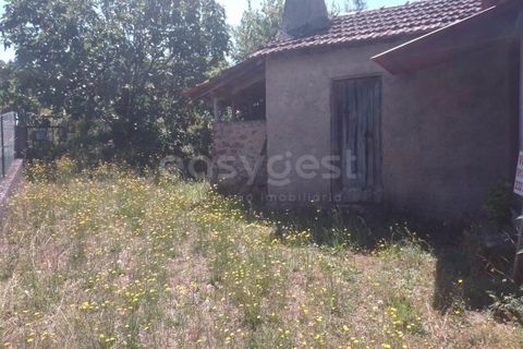 Farm i Dardavaz, Viseu, Dardavaz - € 95.000 | Ref: VS96092 - foto 5