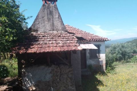 Farm i Dardavaz, Viseu, Dardavaz - € 95.000 | Ref: VS96092 - foto 6