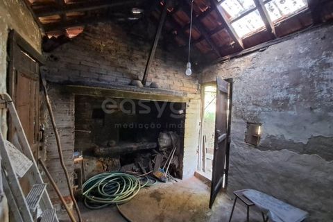 Farm i Dardavaz, Viseu, Dardavaz - € 95.000 | Ref: VS96092 - foto 8