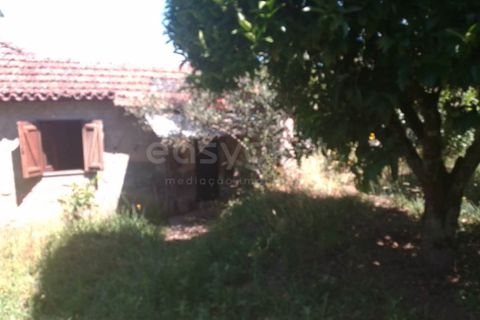 Farm i Dardavaz, Viseu, Dardavaz - € 95.000 | Ref: VS96092 - foto 11