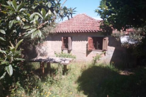Farm i Dardavaz, Viseu, Dardavaz - € 95.000 | Ref: VS96092 - foto 12