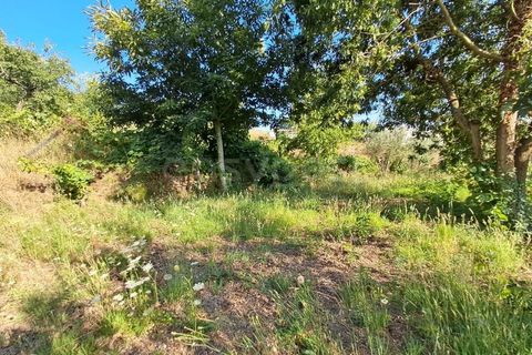 Farm i Dardavaz, Viseu, Dardavaz - € 95.000 | Ref: VS96092 - foto 13