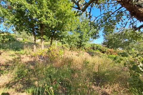 Farm i Dardavaz, Viseu, Dardavaz - € 95.000 | Ref: VS96092 - foto 16
