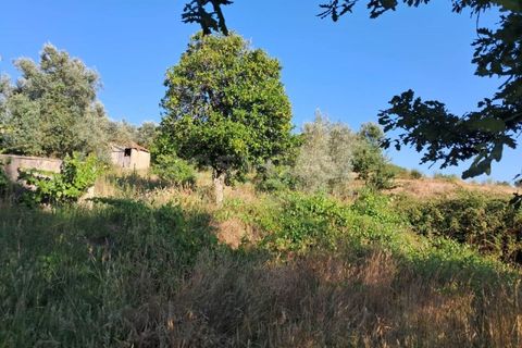 Farm i Dardavaz, Viseu, Dardavaz - € 95.000 | Ref: VS96092 - foto 17