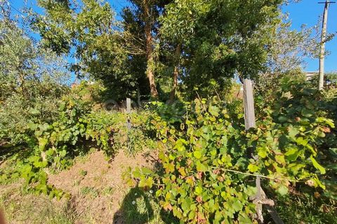 Farm i Dardavaz, Viseu, Dardavaz - € 95.000 | Ref: VS96092 - foto 19