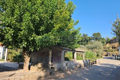 Farm i Dardavaz, Viseu, Dardavaz - € 95.000 | Ref: VS96092 - foto 20