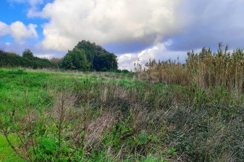 Helårsgrund i Pataias, Leiria, Pataias - € 47.000 | Ref: LE96881NZ - foto 2