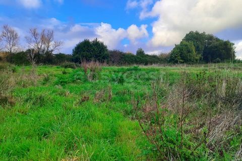 Helårsgrund i Pataias, Leiria, Pataias - € 47.000 | Ref: LE96881NZ - foto 3