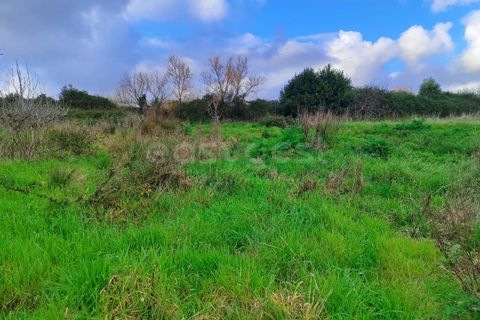 Helårsgrund i Pataias, Leiria, Pataias - € 47.000 | Ref: LE96881NZ - foto 4