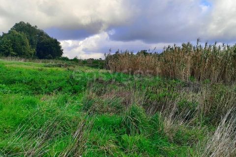 Helårsgrund i Pataias, Leiria, Pataias - € 47.000 | Ref: LE96881NZ - foto 5