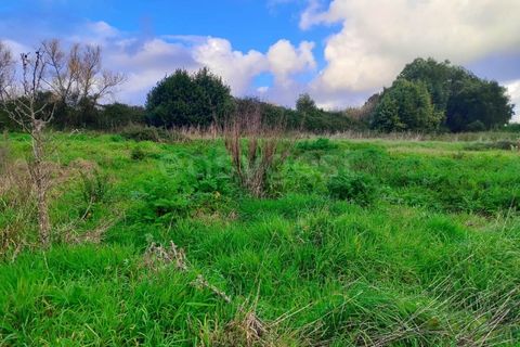 Helårsgrund i Pataias, Leiria, Pataias - € 47.000 | Ref: LE96881NZ - foto 6