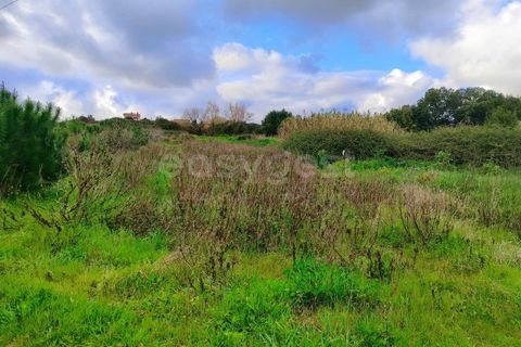 Helårsgrund i Pataias, Leiria, Pataias - € 47.000 | Ref: LE96881NZ - foto 9